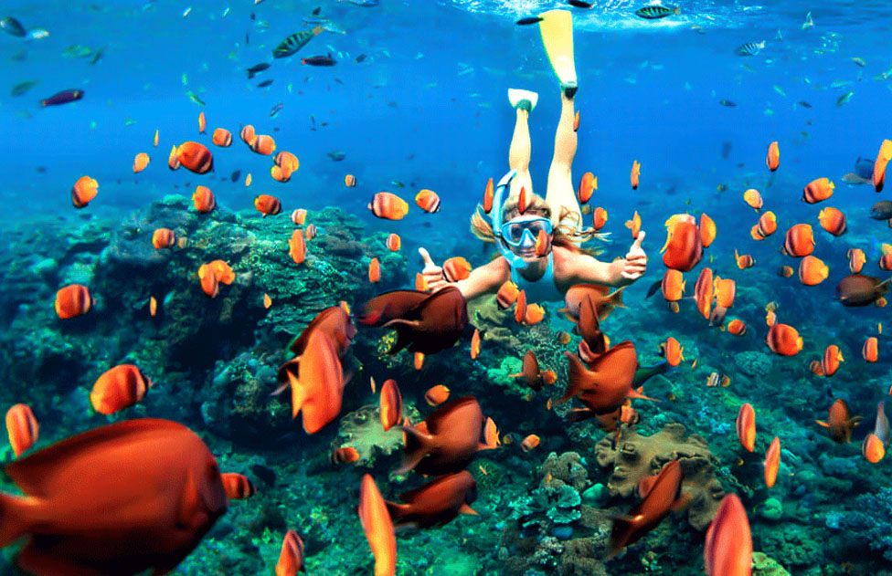 Snorkeling Pulau Rubiah Sabang